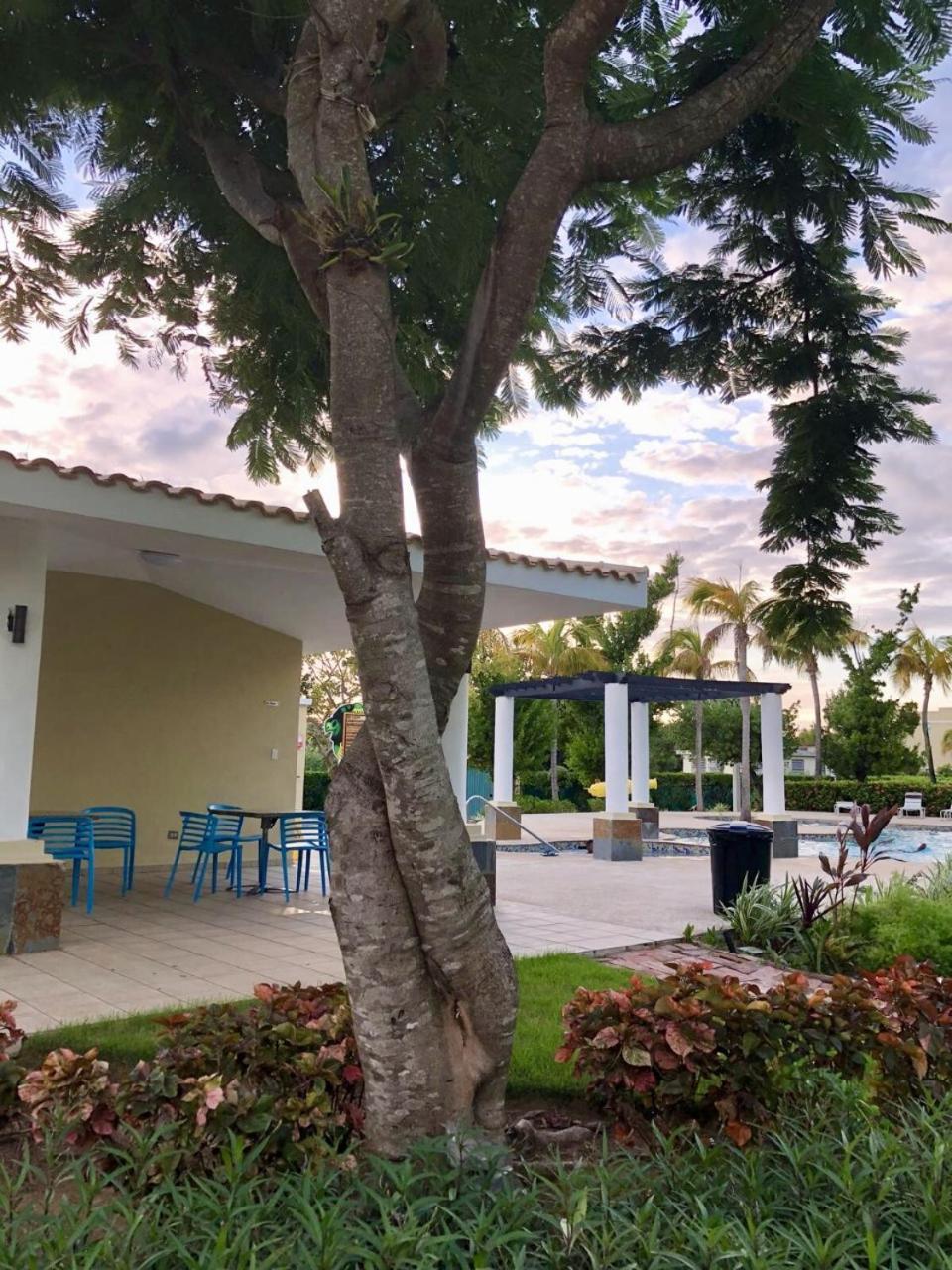 Aquatika Paraiso Tropical Loiza Exteriör bild